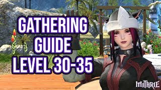 FFXIV 20 0094 Gathering Guide Level 30 to 35 [upl. by Gagliano778]