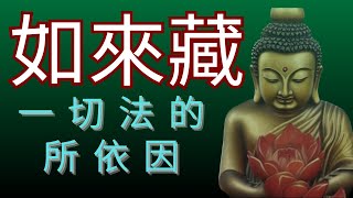 如來藏：一切法的所依因（正片121開始） Jonang Dharma Volunteers 覺囊志願者 [upl. by Anot]