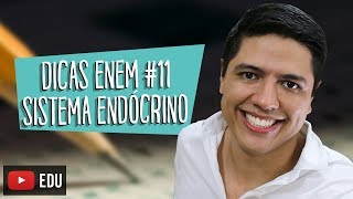 SISTEMA ENDÓCRINO  DICA ENEM BIOLOGIA 11  Prof Kennedy Ramos [upl. by Llerrod684]