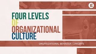 Four Levels of Organizational Culture [upl. by Haldan]