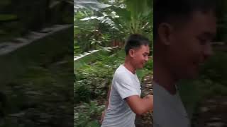 graving seram kutata napano ta inuragansubscriber comedy [upl. by Nuahsak996]