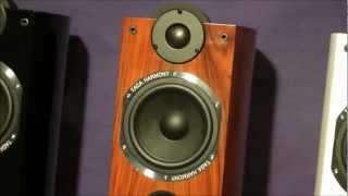 TAGA Harmony PLATINUM F60SE B40SE S40SE Special Edition  speakers [upl. by Ernestine]