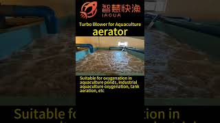 Turbo Blower for Aquaculture， industrial aquaculture oxygenationaquaculture aerator [upl. by Adnesor]