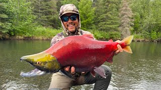 I Caught My DREAM Alaskan Sockeye Salmon CATCH CLEAN COOK [upl. by Hueston]