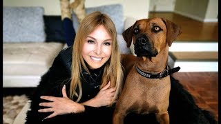 RHODESIAN RIDGEBACK  THE LION DOG OF AFRICA [upl. by Weidman]