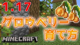 117新植物グロウベリーの育て方【マインクラフト】 [upl. by Tamera116]