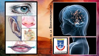 Anosmia Congénita Casos Clínicos Sensopercepción [upl. by Higley]