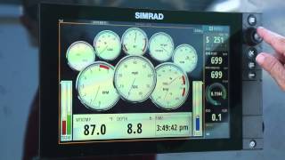 Customizing the NSS evo2 Instrument Panel [upl. by Kuhn]