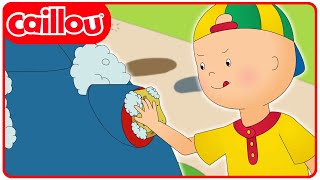 Caillou Does Chores  Caillous New Adventures  Season 4 Episode 4 [upl. by Eenaffit396]