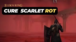 How to Cure Scarlet Rot in Elden Ring [upl. by Meridel162]