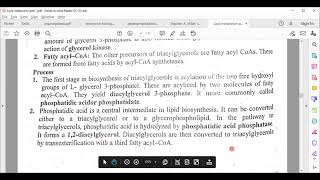 Biosynthesis of triacylglycerol [upl. by Holtorf]