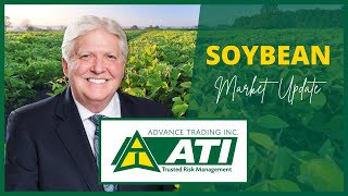 Soybean Market Update  August 07 2024 [upl. by Innos]