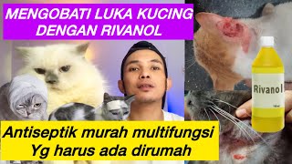 MENGOBATI KUCING LUKA DENGAN RIVANOL  Rivanol untuk kucing luka kucing borokan kucing abses dll [upl. by Erihppas]