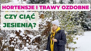 Jesienne cięcie hortensji i traw Czy warto teraz ciąć hortensje i trawy Pora na sadzonki z patyków [upl. by Adnalor]