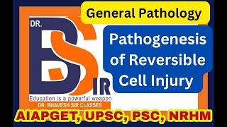 Pathogenesis of Reversible Cell Injury  General Pathology  Pathology  DrBhavesh Sir Classes [upl. by Kellby]