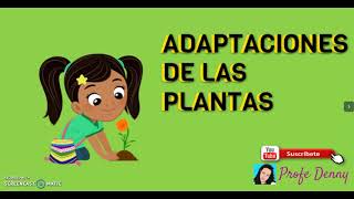 ADAPTACIONES DE LAS PLANTAS [upl. by Rubinstein]