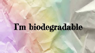 Briar Circle  Biodegradable Official Lyric Video [upl. by Asp]