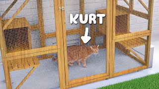 Building Kurts Dream Catio [upl. by Elttil840]