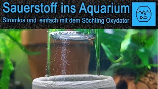 Unboxing Söchting Oxydator Mini  Oxydator Funktion und Anwendung  Sauerstoff im Aquarium Oxidator [upl. by Yttik]