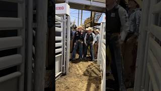 The cowboys of Xtreme Bulls rodeo cowboys bullriding rodeotime [upl. by Halullat569]