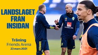 Zlatans första träning tillbaka i landslaget  Landslaget från insidan [upl. by Ariew998]