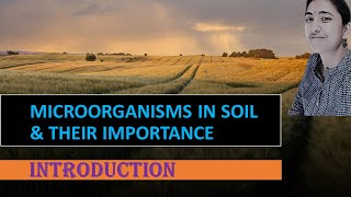 MICROORGANISMS IN SOIL amp THEIR IMPORTANCE  PART 1 INTRODUCTION  ENVIRONMENTAL MICROBIOLOGY [upl. by Nigem156]