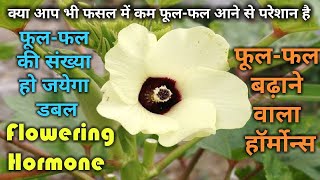 फूलफल बढ़ाने वाला हॉर्मोंस।florigen hormone flowering hormone for all crop [upl. by Nicholas]