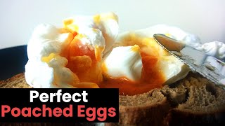 Perfect Poached Eggs in 7 Simple Steps [upl. by Ilam679]