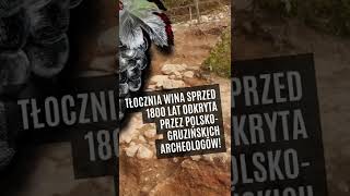 Tłocznia wina sprzed 1800 lat odkryta obok rzymskiego fortu Apsaros archeologia wiadomości rzym [upl. by Sutton614]