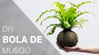 Aprenda a fazer um kokedama artificial  Passo a passo bola de musgo [upl. by Etnoid]