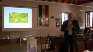 Lintervento del geologo Giuseppe Negri al Veneto BarCamp di Refrontolo [upl. by Niwdla]