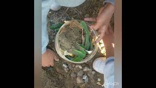 composting class 9th biology activity education school science learning biology paperless [upl. by Htiaf]