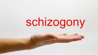 How to Pronounce schizogony  American English [upl. by Nnylram]