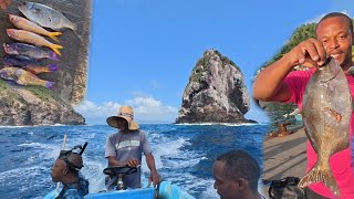 Heavy rains bring plenty fishes  deep sea dive after flash flood warning  beautiful SVG [upl. by Rafaellle]