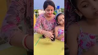 রূপসী মাইয়ারে তোর কলসের ভিতরে কি ২০২৪ viralmusic viralsong viralvideo short shorts raselbabu [upl. by Alikam845]