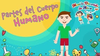 Partes del Cuerpo Humano en Ingles Videos Educativos para Niños [upl. by Rolf]