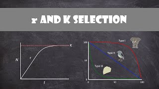 r and K selection  Ecology [upl. by Aitat]