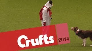 Heelwork to Music  Freestyle International  2nd Place  Crufts 2014 [upl. by Ahsercul217]