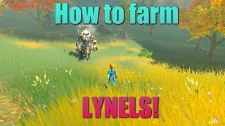 Breath of the Wild Guides  EASY Lynel farming [upl. by Levana]