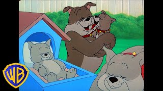 Tom amp Jerry  The Best Doggy Dad Ever 🐶  Fathers Day  Classic Cartoon Compilation  wbkids​ [upl. by Yasui]