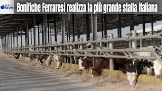 Bonifiche Ferraresi realizza la più grande stalla italiana [upl. by Nyleimaj]