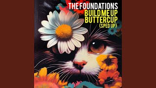 Build Me Up Buttercup ReRecorded  Slowed  Reverb [upl. by Avon817]