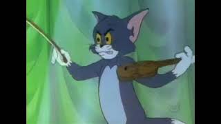 Tom amp jerry Show em  Gato vs tuba [upl. by Schlessel]