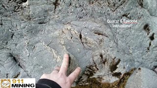 Quartz Veins amp Epidote Nodules In A Greywacke Host Rock [upl. by Hameerak]