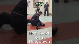 Hon Gyaku on a Dragdown martialarts ninjutsu bujinkanninjutsu taijutsu [upl. by Epps607]