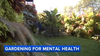 Chicago police officers lush garden stops traffic helps mental health [upl. by Leela]