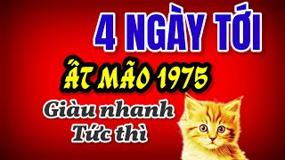 Tử Vi Ất Mão 1975 Đúng 4 Ngày Tới Đây Phật Tổ Độ Trì Tài Lộc Dồi Dào Đổi Đời Tức Thì [upl. by Nachison]