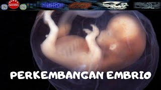 PERKEMBANGAN EMBRIOJANIN DARI ZIGOT SAMPAI LAHIR  DIRGA BIOLOGY CHANNEL [upl. by Nyroc]