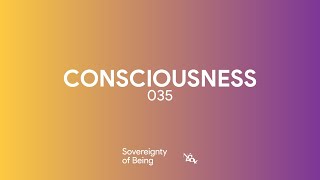 035 CONSCIOUSNESS [upl. by Nairam533]