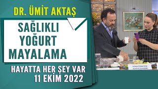 Doğal Yoğurt Mayalama Yöntemi Hayatta Her Şey Var 11 Ekim 2022 [upl. by Samuelson]